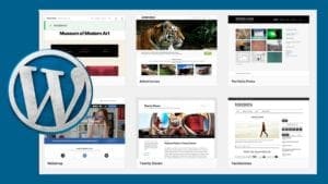 kurs-wordpress-divi