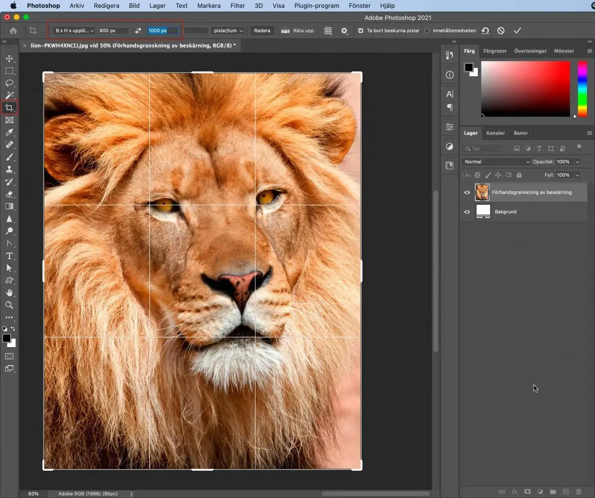 Beskära bild i Photoshop