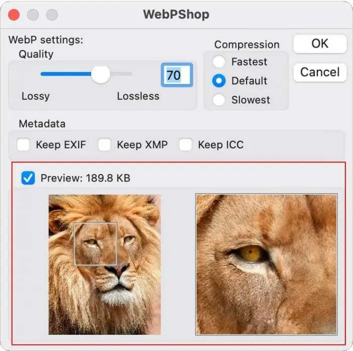 webp förhandsvisning