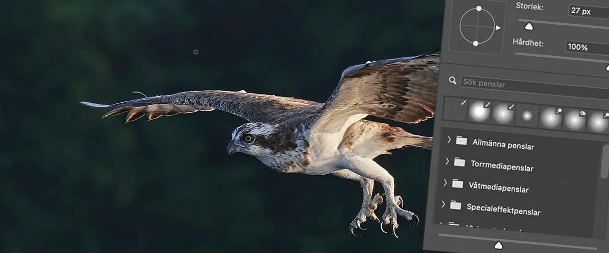 ändra penselstorlek