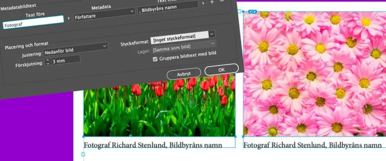 auto bildtexter