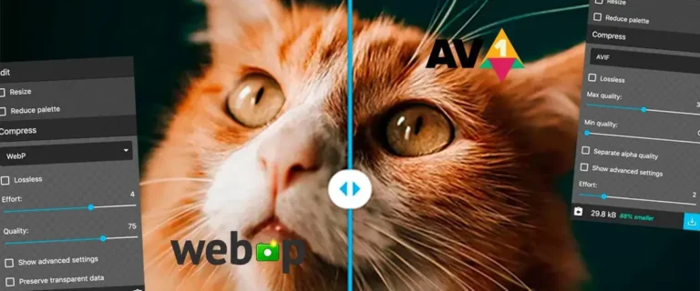 avif webp