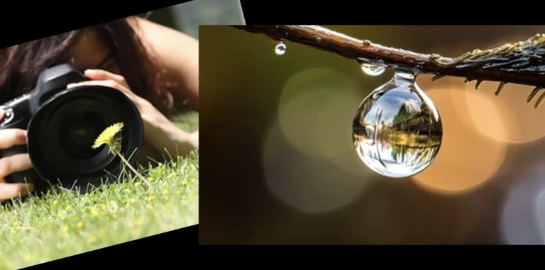 macro-fotografering
