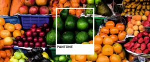 pantone bibliotek