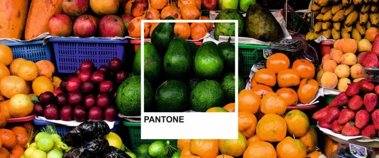 pantone bibliotek