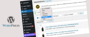 rensa mediabibliioteket wordpress