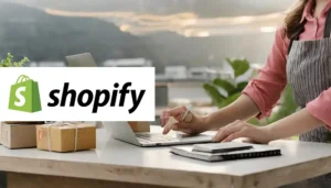shopify snabbguide