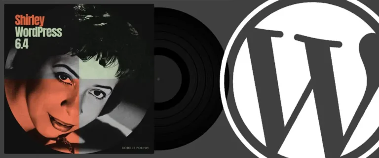 wordpress 6.4