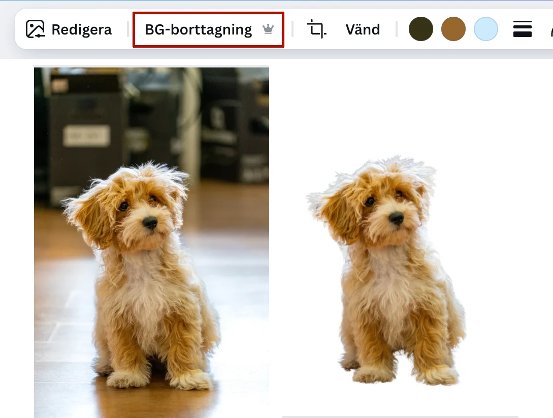 bakgrundsborttagning canva