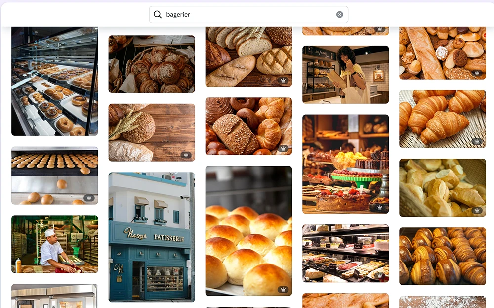Canva bilder