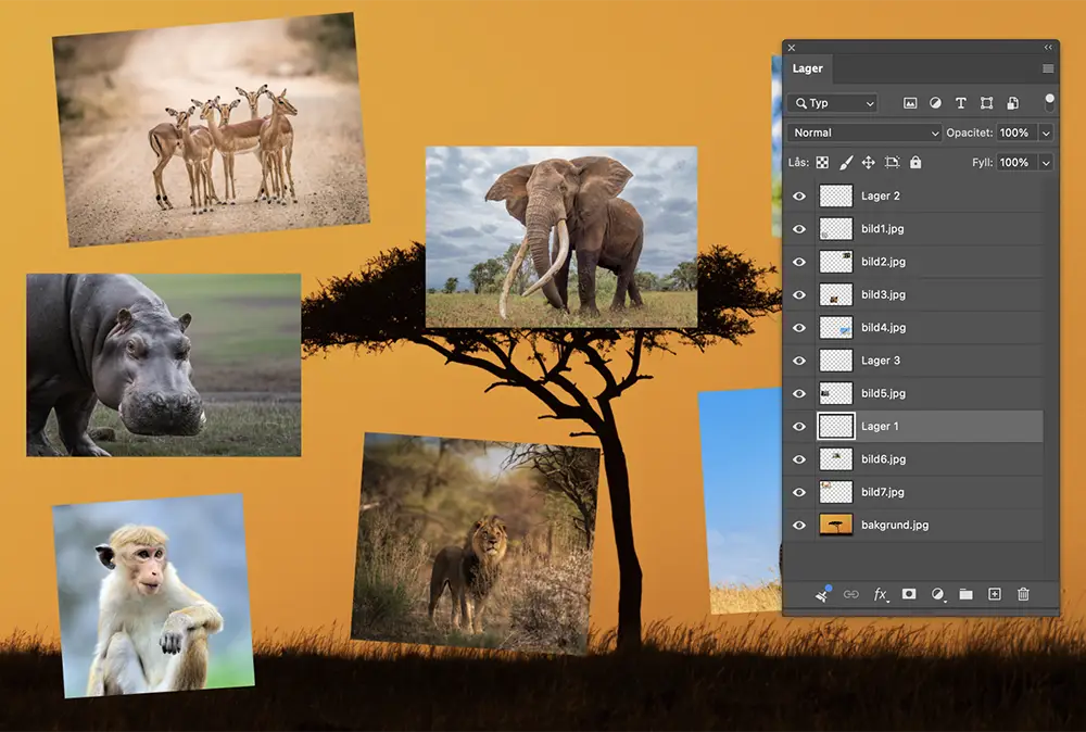 Nyheter i Photoshop 20206 Lagerrensning
