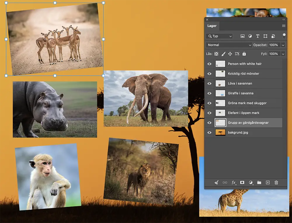 Nyheter i Photoshop 20206 Lagerrensning