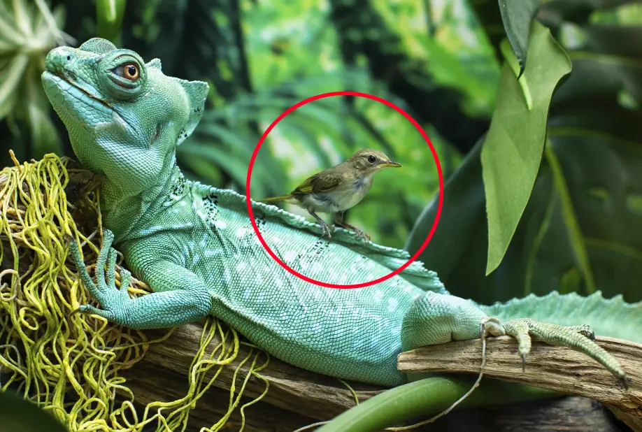 Nyheter i Photoshop 2026 firefly-image-5 