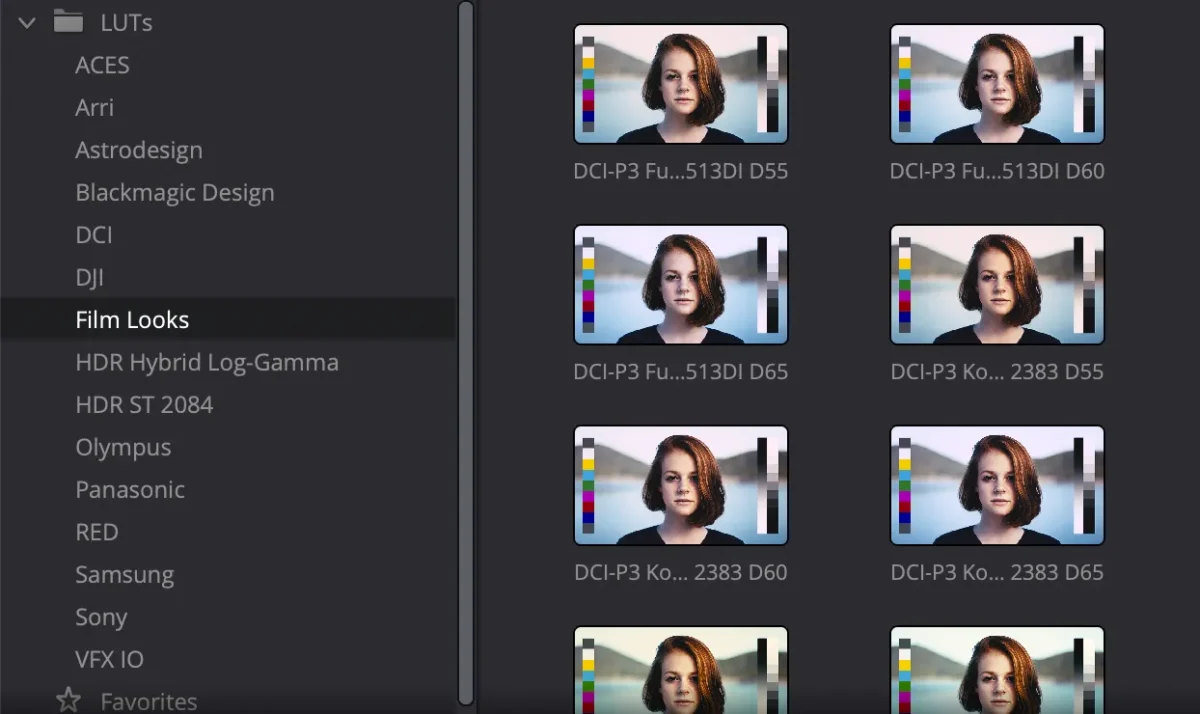 luts davinci resolve