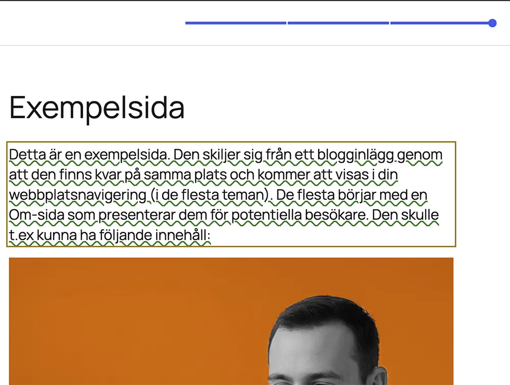 ny versionshanterare i wordpress