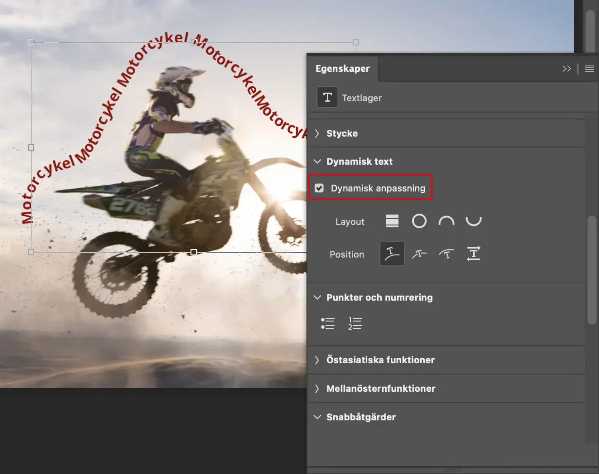 dynamisk anpassning